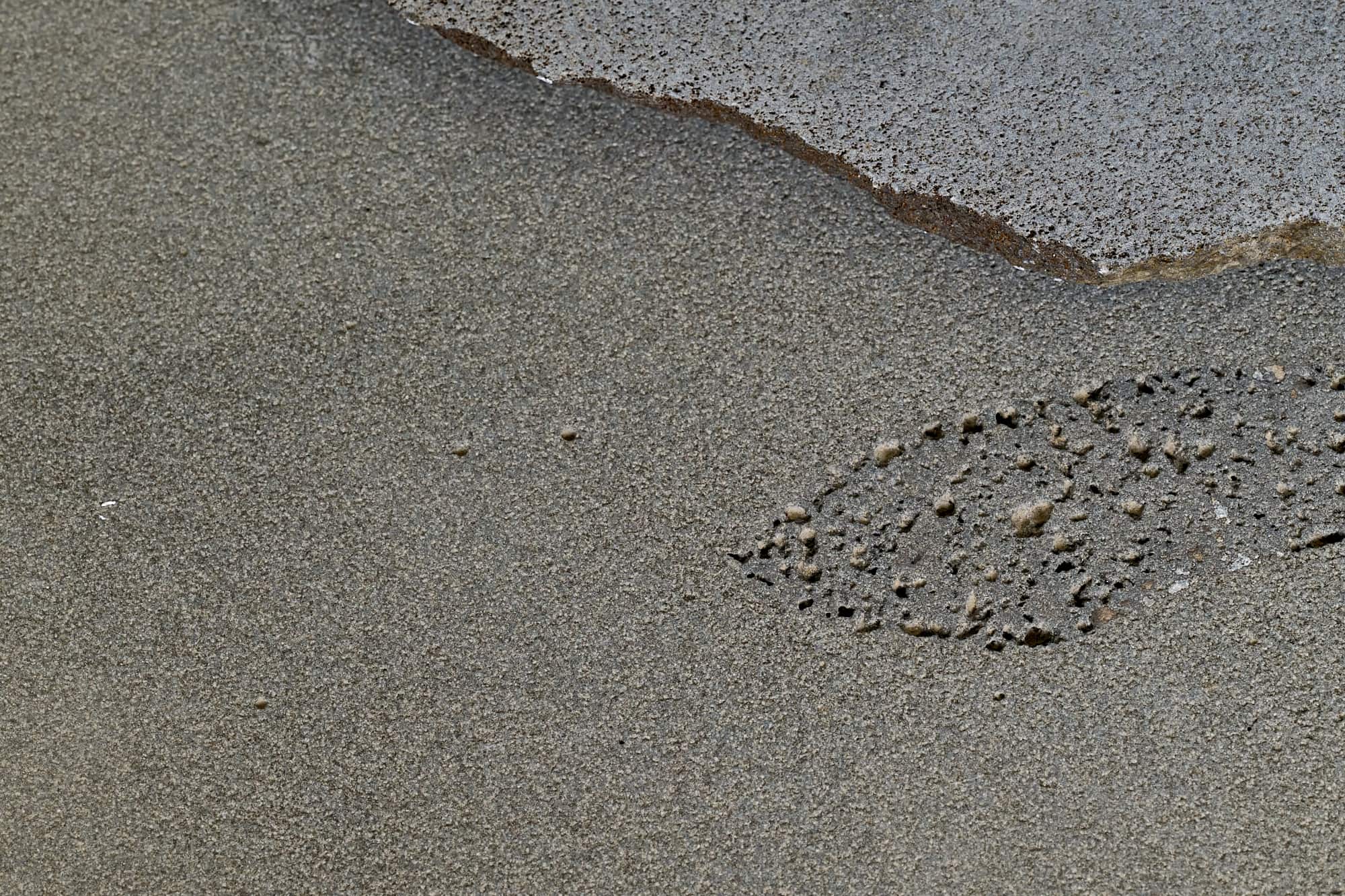 Bluestone Pavers & Tiles